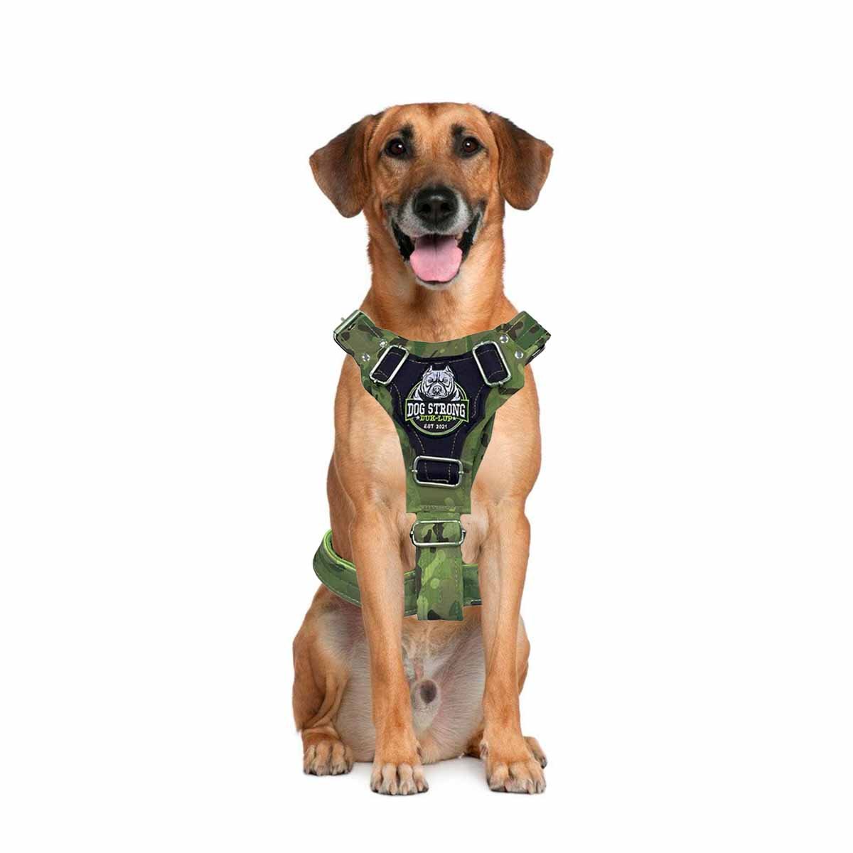 PETO PARA PERRO DOG STRONG VERDE OSCURO TALLA L FIRME Y RESISTENTE Y+LIGAS REGALO - 3