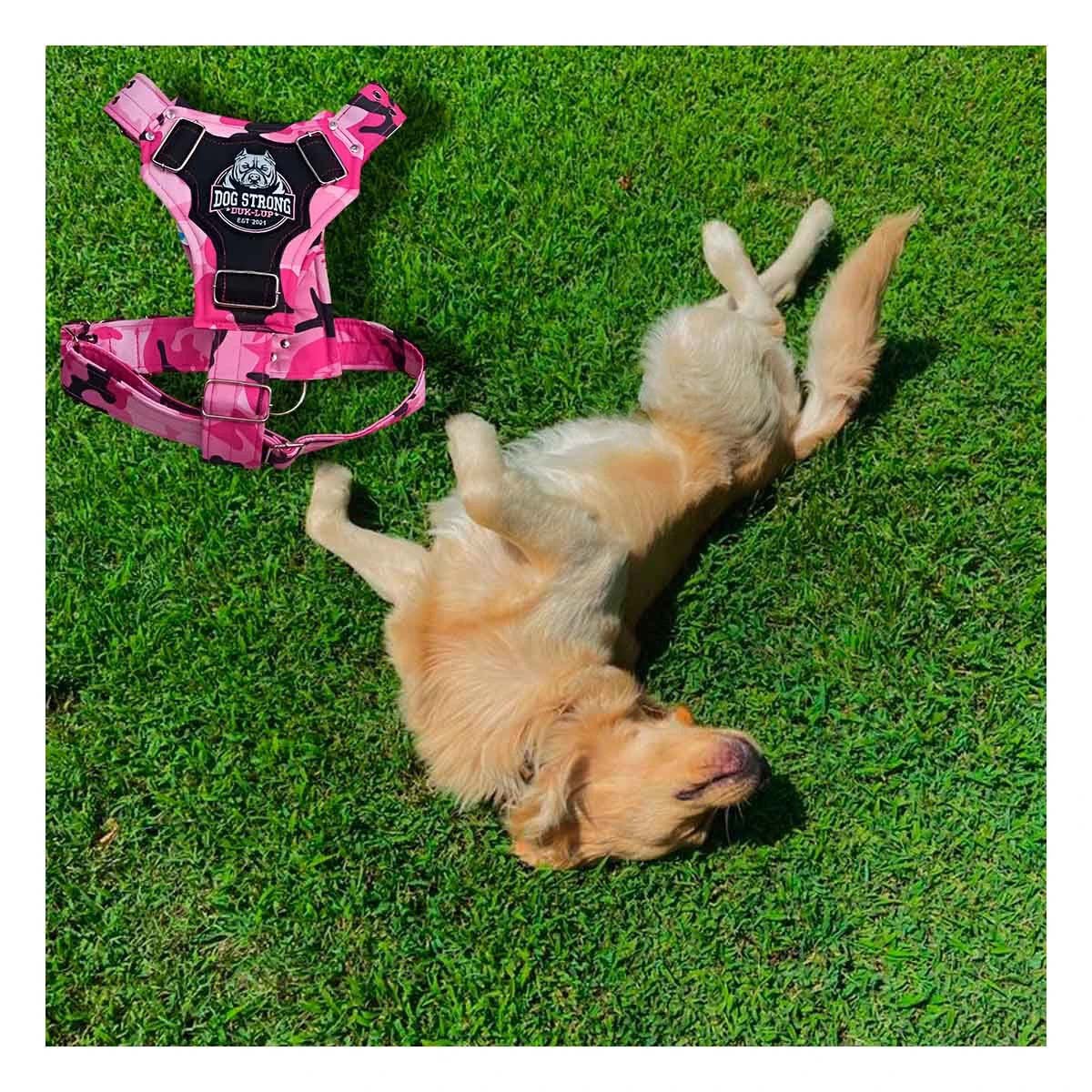 PETO PARA PERRO DOG STRONG ROSADO TALLA S FIRME Y RESISTENTE - 1