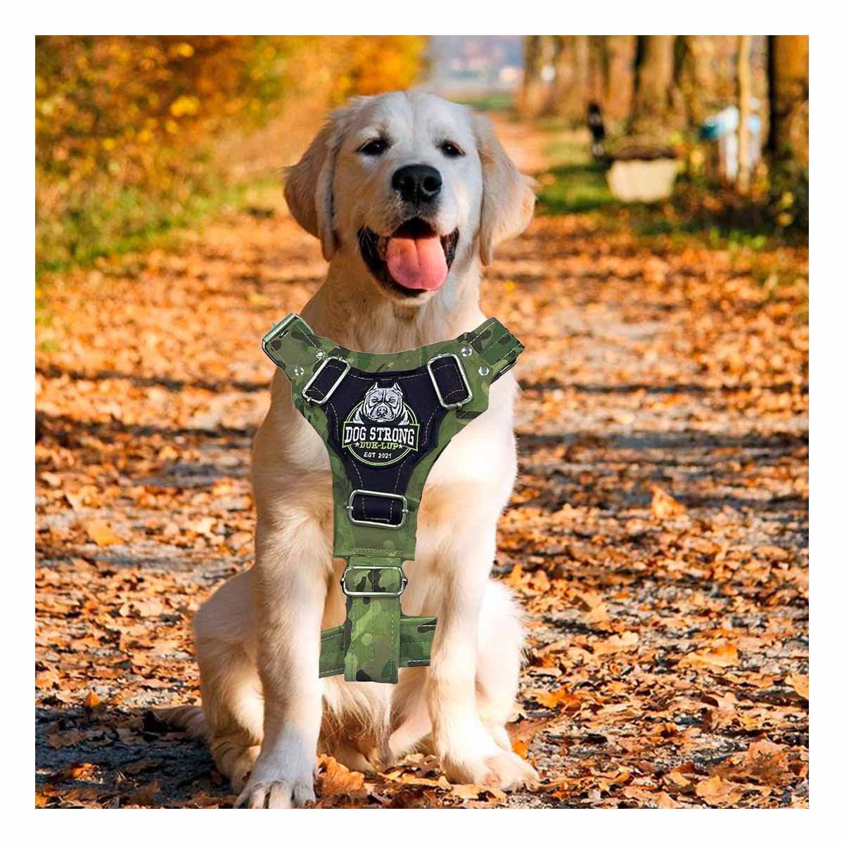 PACK2 ACCESORIO PARA MASCOTA DOG STRONG VERDE OSCURO TALLA L CON SOPORTE FIRME - 5