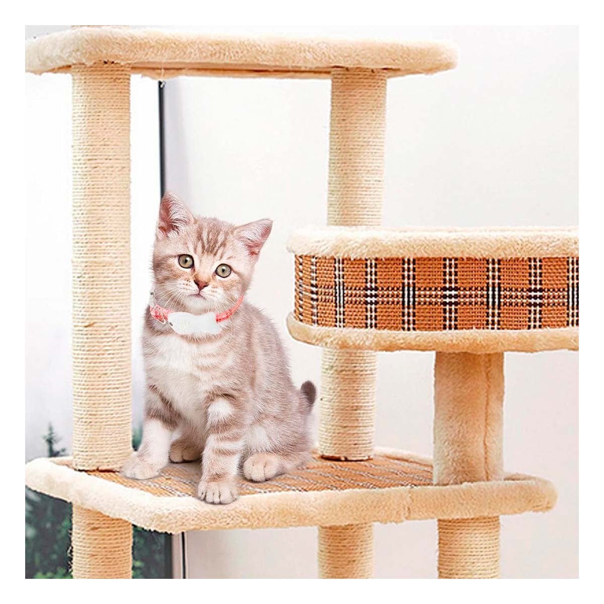 PACK2 CINTA LIGERA MODELO PEZ ROJO PARA MASCOTA - 5