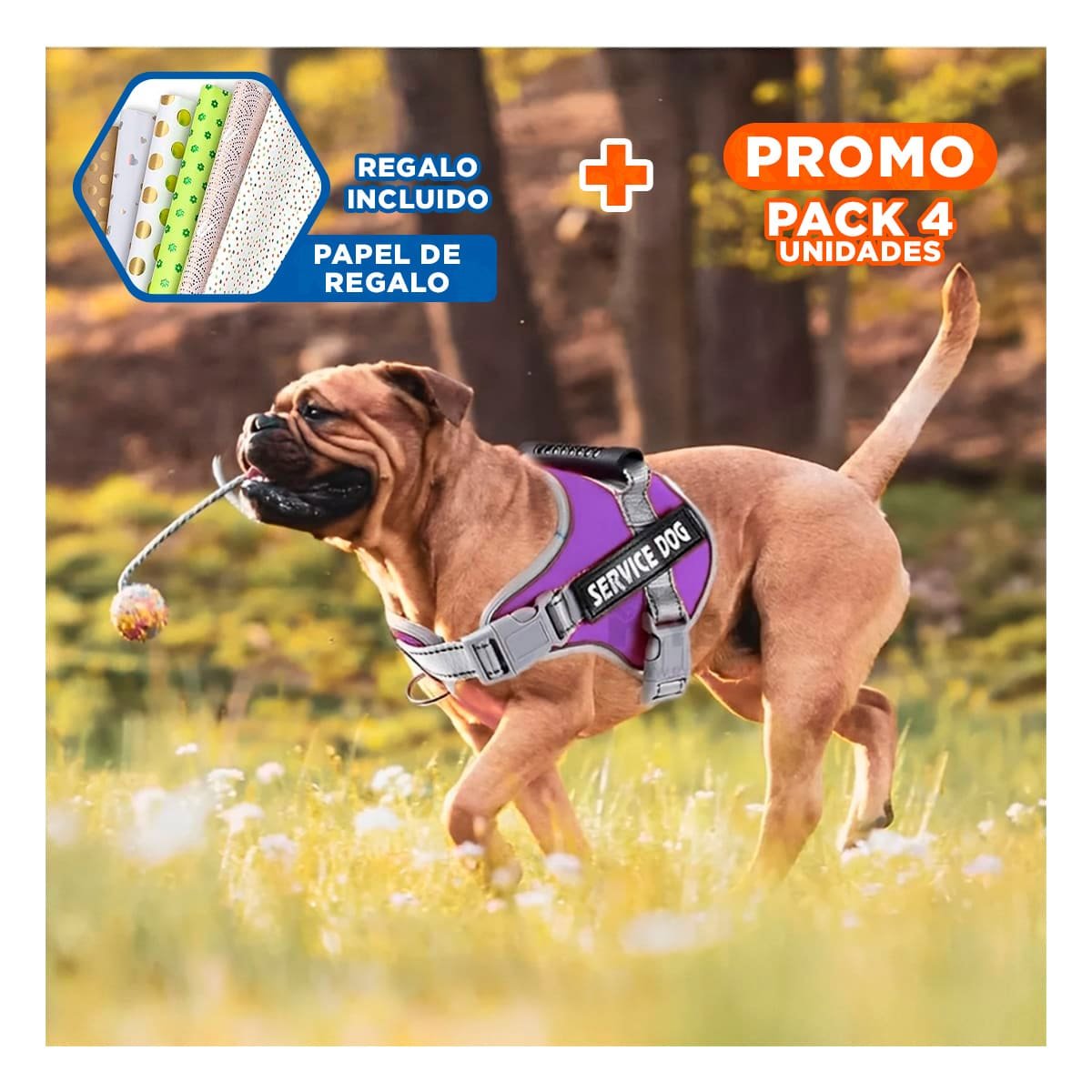 PACK4 ARNES RESISTENTE SERVICE DOG TALLA XL MORADO CON ASA Y+PAPEL REGALO - 1