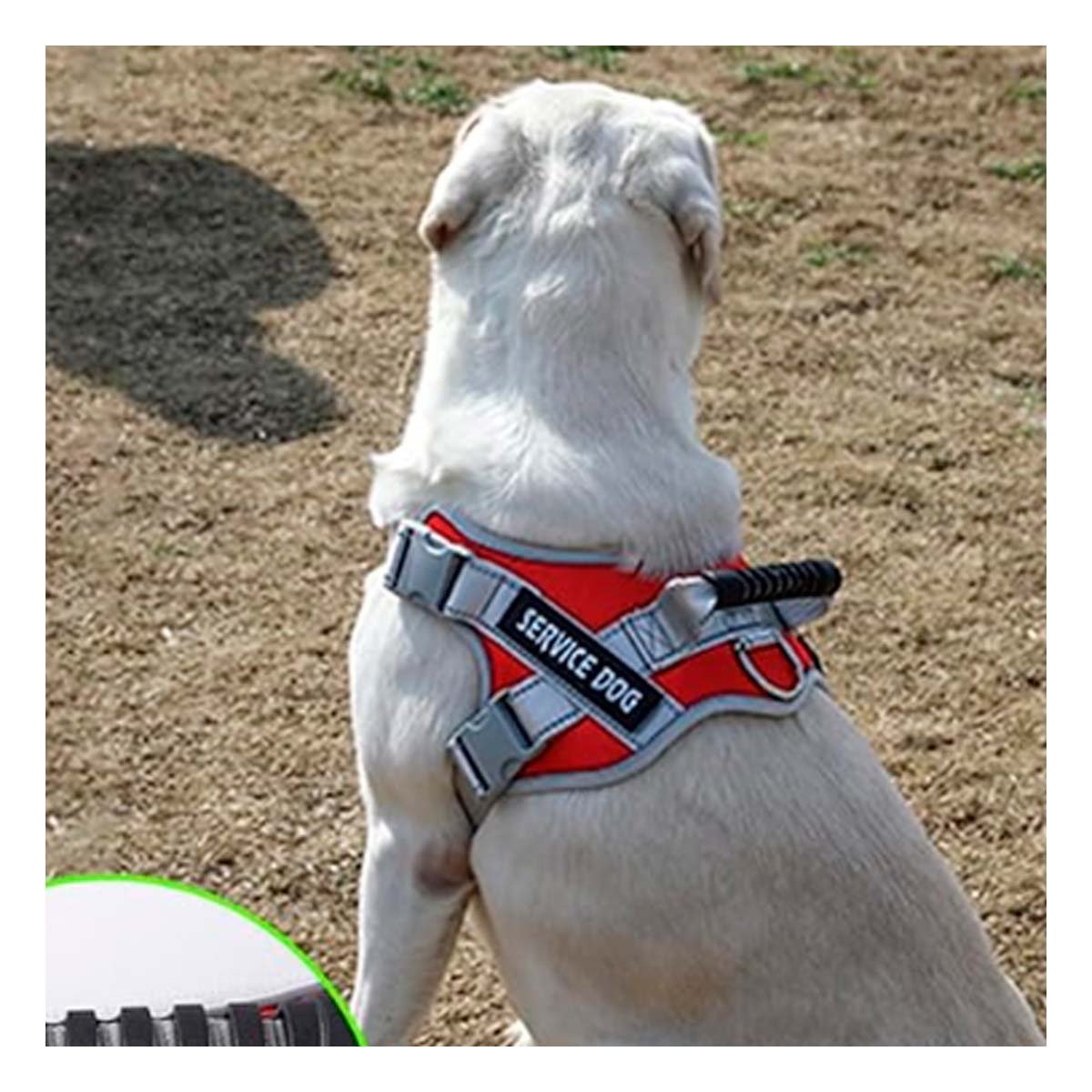 PECHERA AJUSTABLE SERVICE DOG TALLA XS ROJO CON ASA Y+LIGAS REGALO - 1