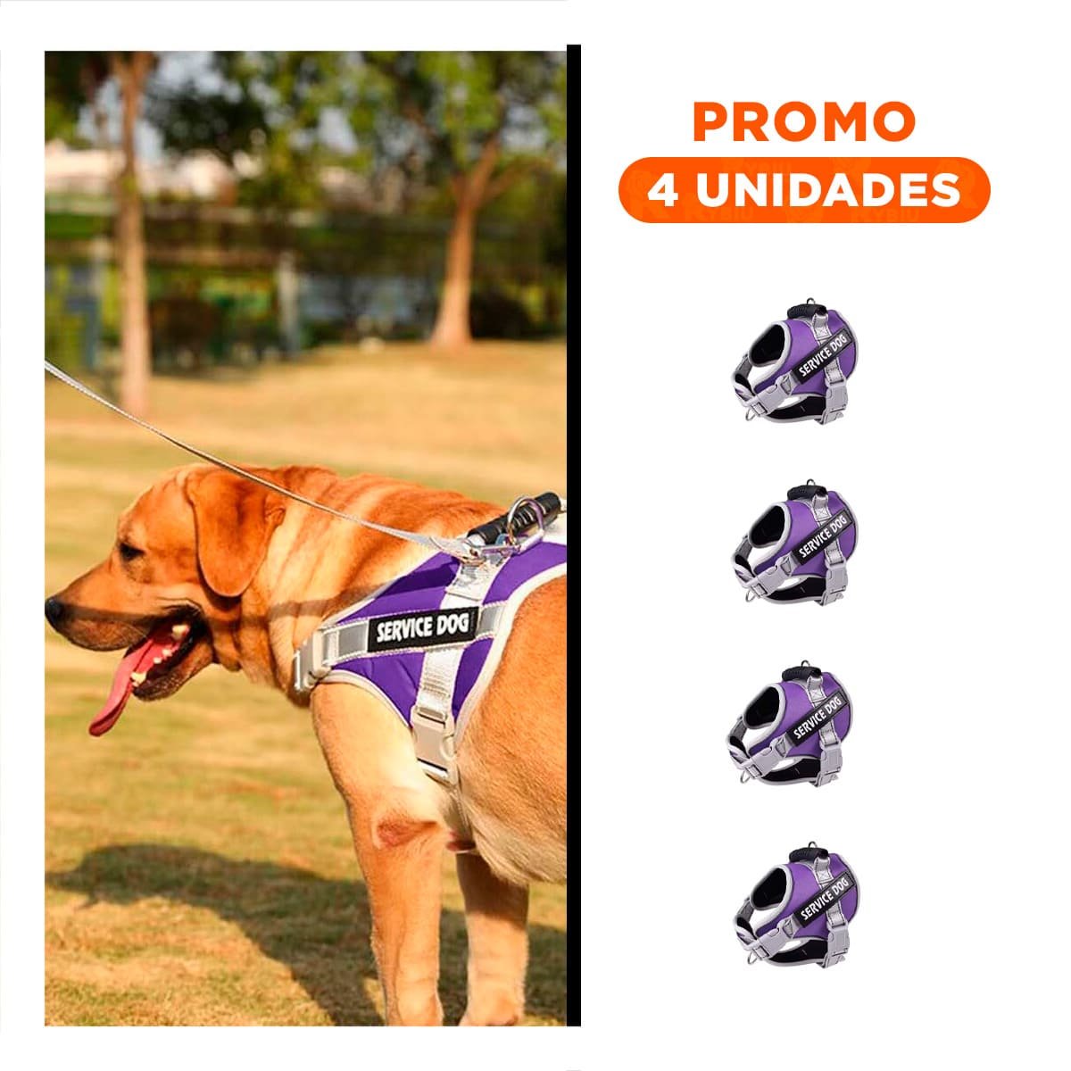 PACK4 CHALECO RESISTENTE SERVICE DOG TALLA XL MORADO CON ASA Y+REGALO STICKER - 1