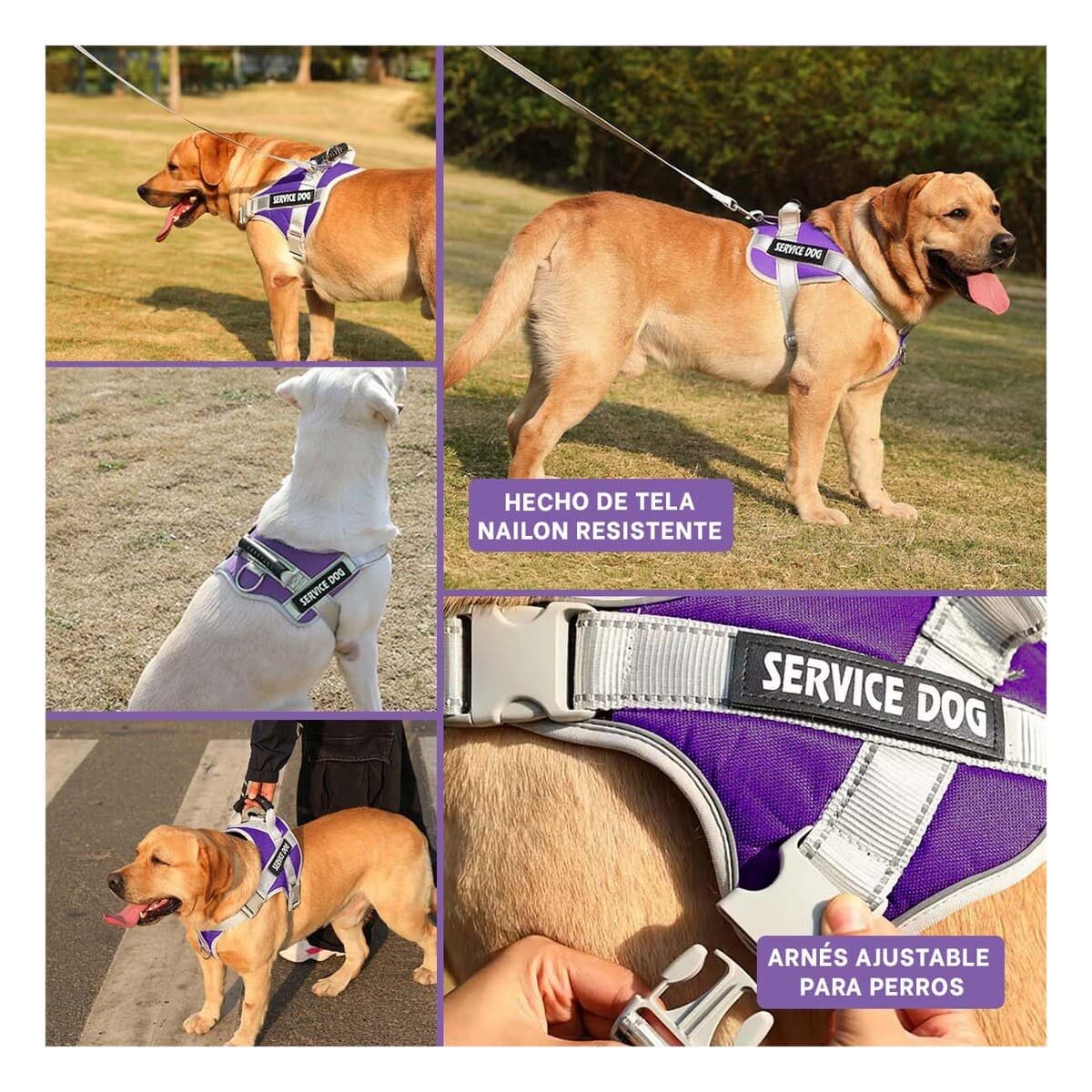 PACK4 CHALECO RESISTENTE SERVICE DOG TALLA XL MORADO CON ASA Y+REGALO STICKER - 2