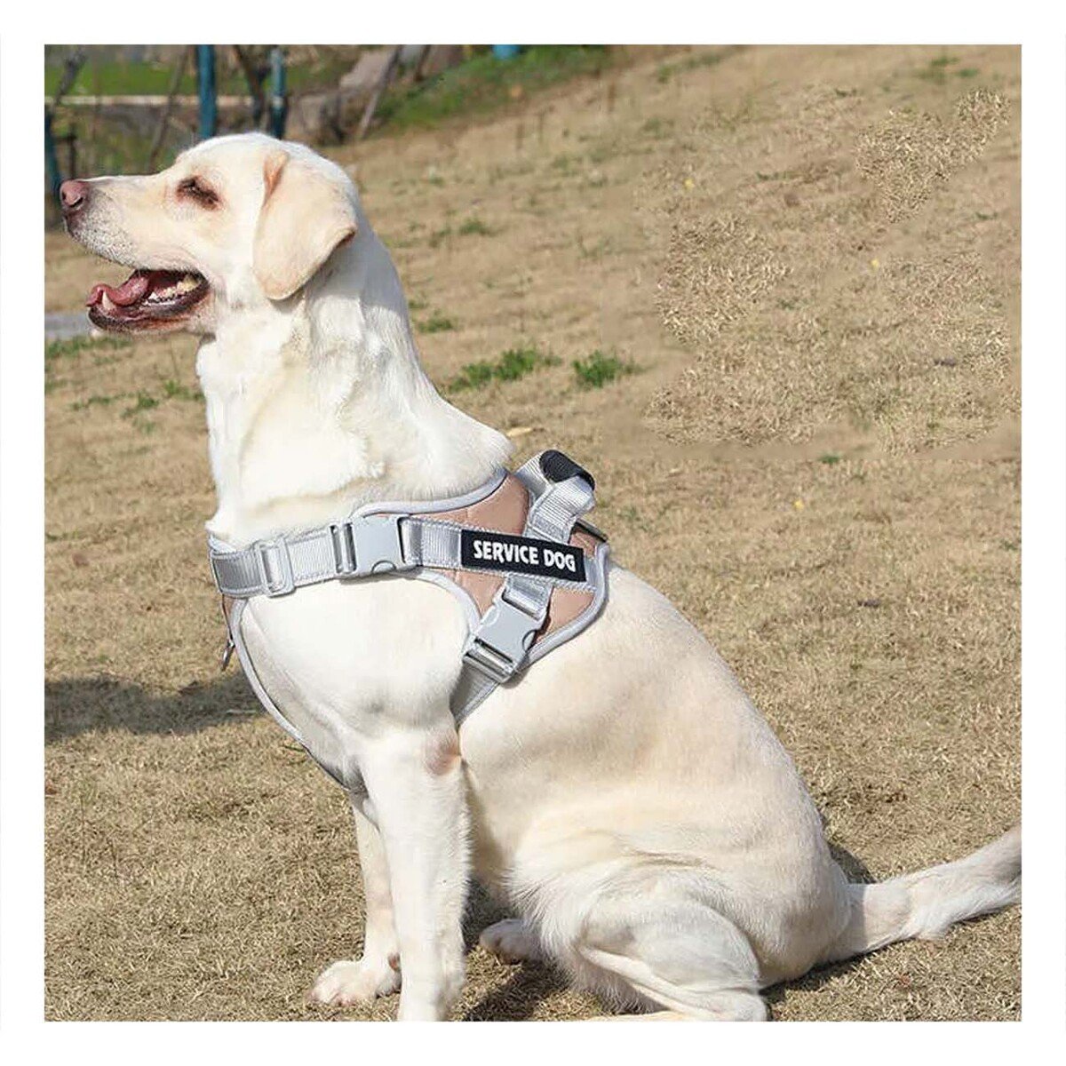 ARNES AJUSTABLE SERVICE DOG TALLA XS MARRON CON ASA Y+POST IT - 2