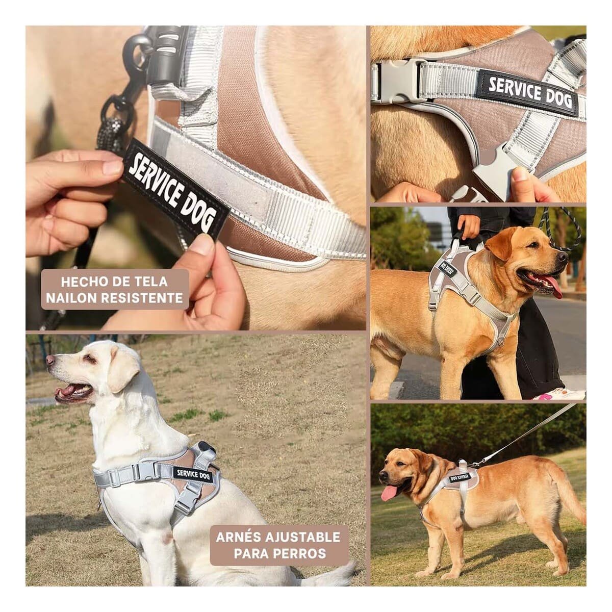 ARNES AJUSTABLE SERVICE DOG TALLA XS MARRON CON ASA Y+POST IT - 5