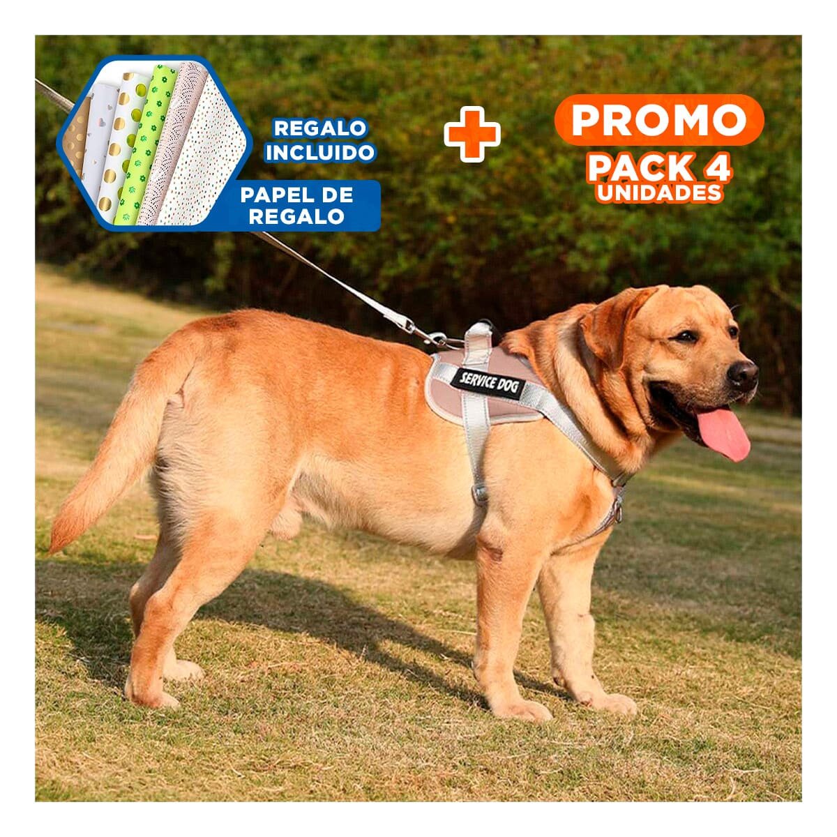 PACK4 ARNES RESISTENTE SERVICE DOG TALLA XS MARRON CON ASA Y+PAPEL REGALO - 1