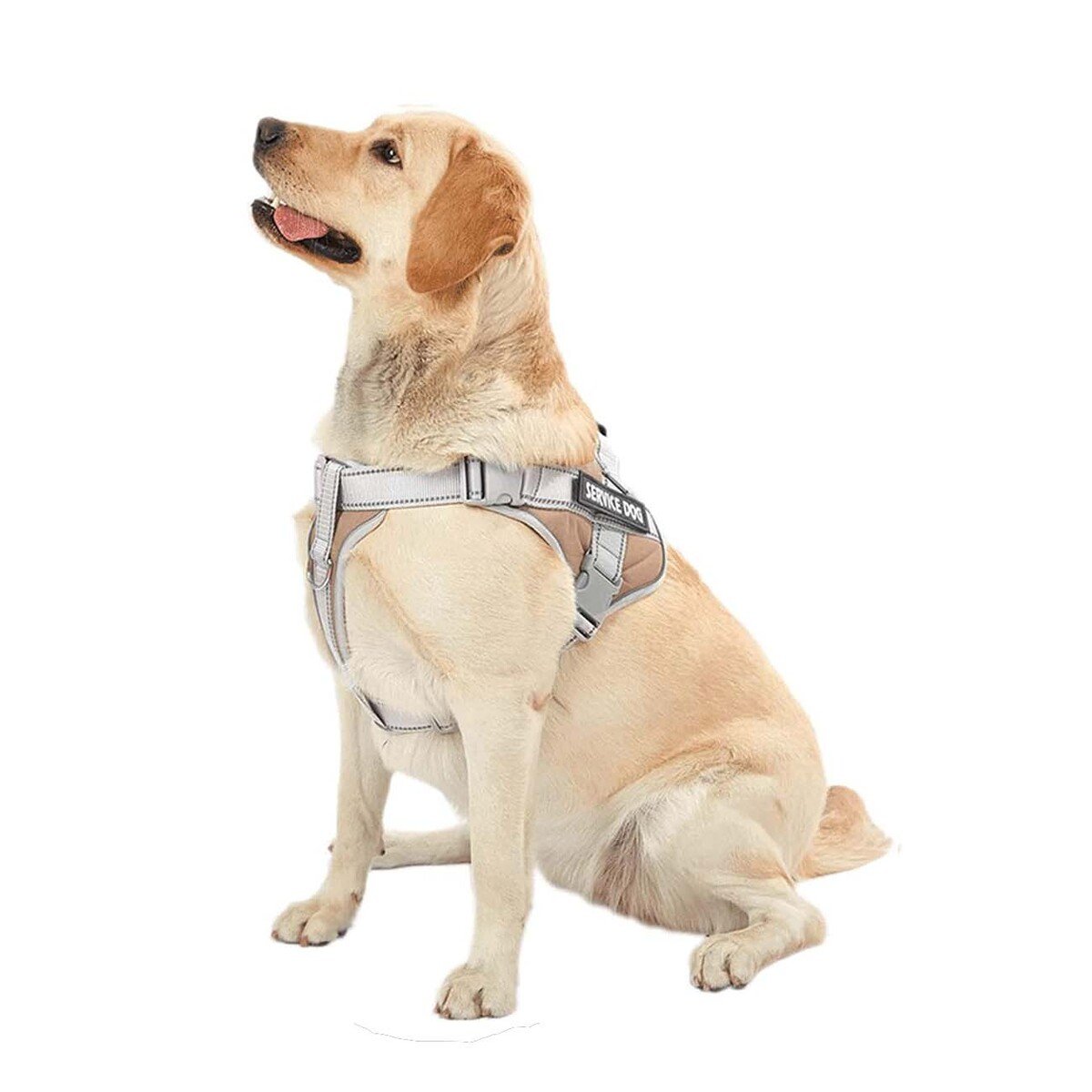 PACK4 ARNES RESISTENTE SERVICE DOG TALLA XS MARRON CON ASA Y+PAPEL REGALO - 3