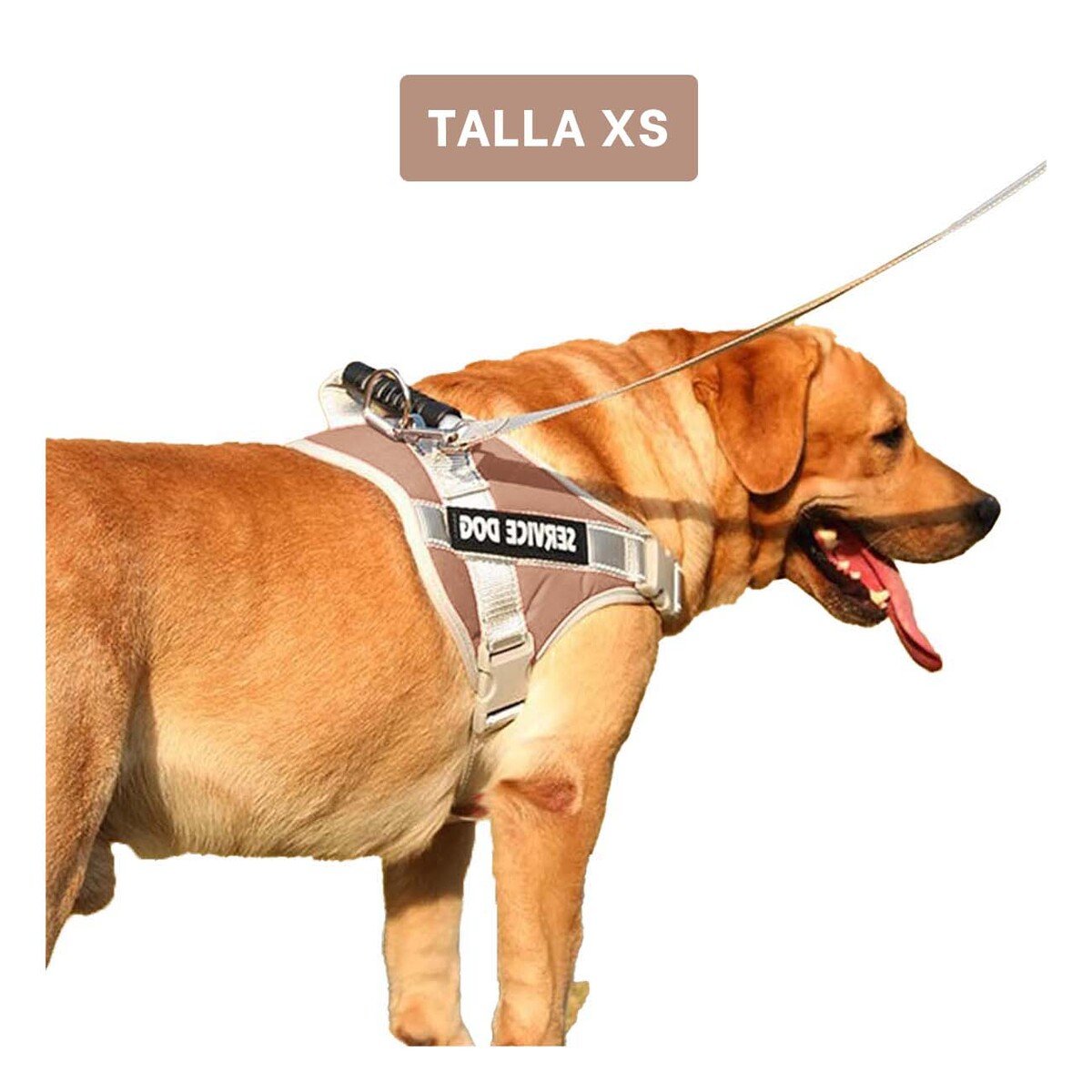 PACK4 ARNES RESISTENTE SERVICE DOG TALLA XS MARRON CON ASA Y+PAPEL REGALO - 4
