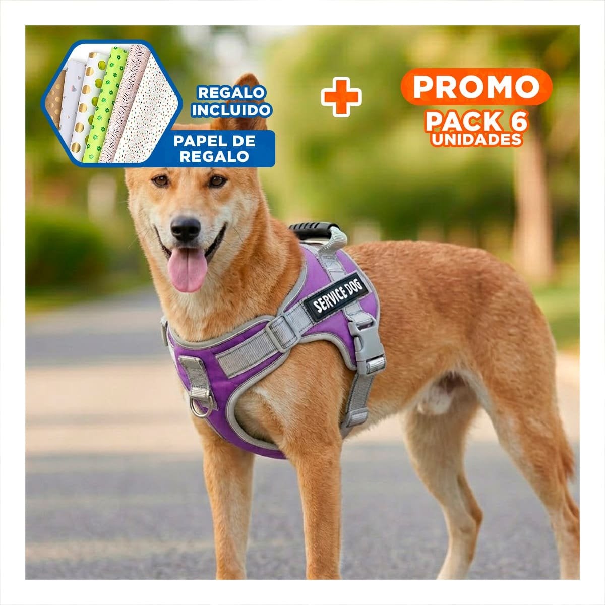 PACK6 PETO RESISTENTE SERVICE DOG TALLA XL MORADO CON ASA Y+PAPEL REGALO - 1