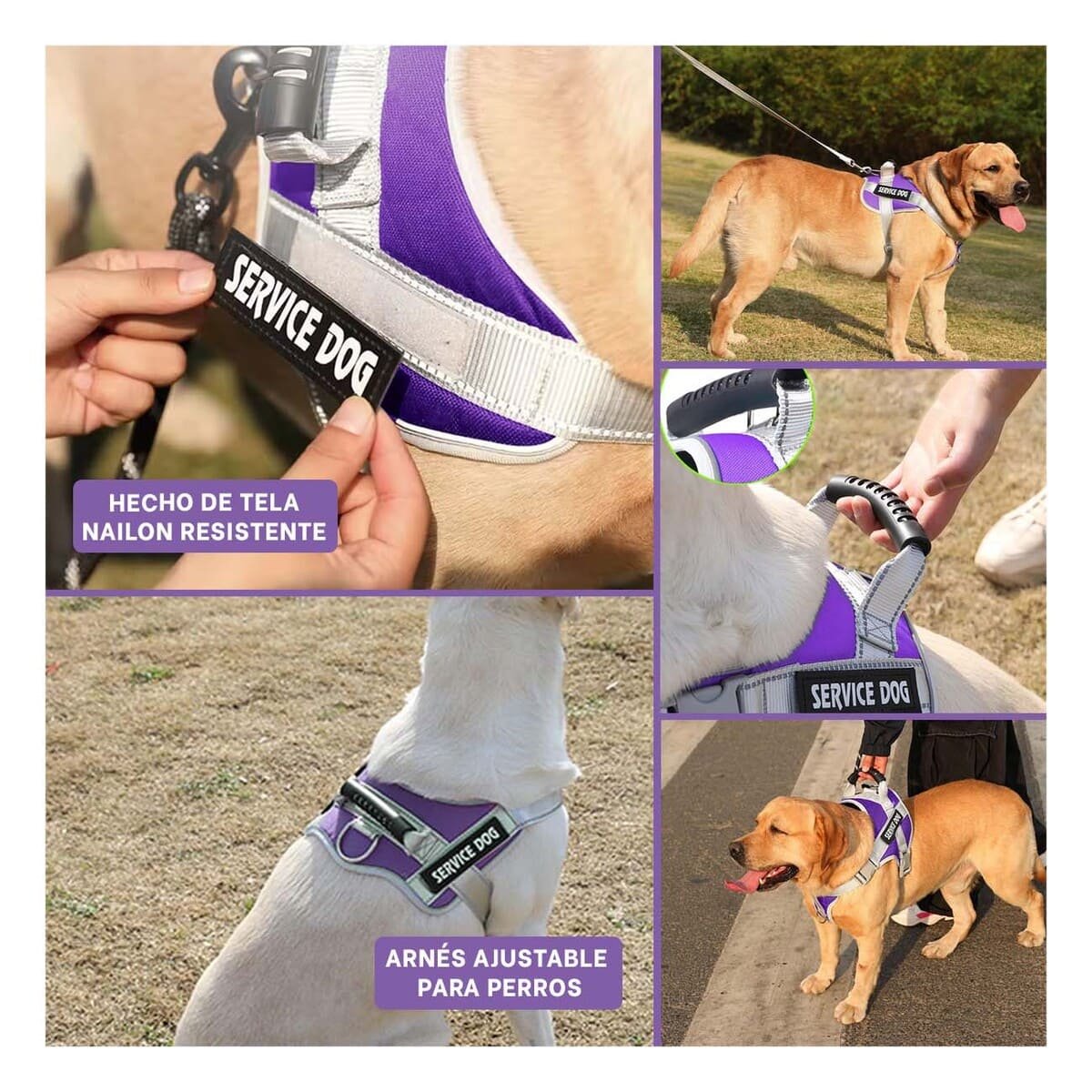 PACK6 PETO RESISTENTE SERVICE DOG TALLA XL MORADO CON ASA Y+PAPEL REGALO - 3