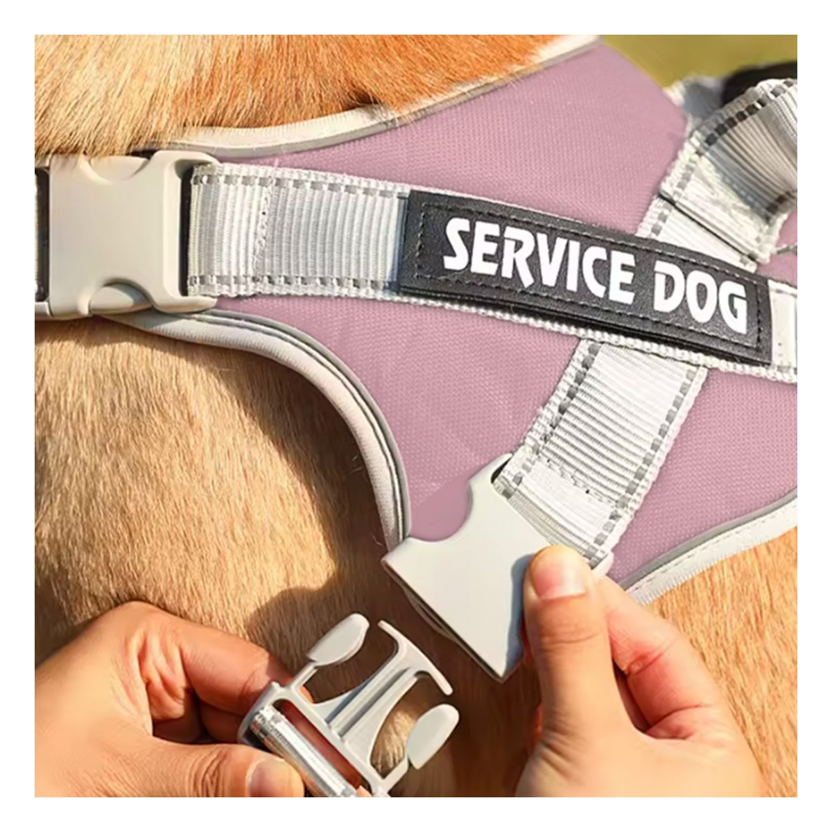 PACK2 HARNESS AJUSTABLE SERVICE DOG TALLA XS ROSADO CLARO CON ASA Y+PAPEL REGALO - 2