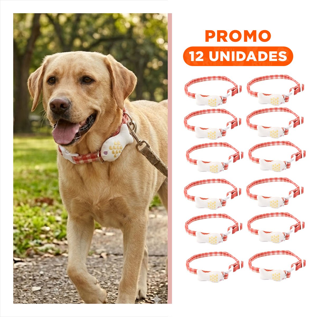 PACK12 CORREA RESISTENTE MODELO PEZ ROJO PARA MASCOTA Y+REGALO STICKER - 1