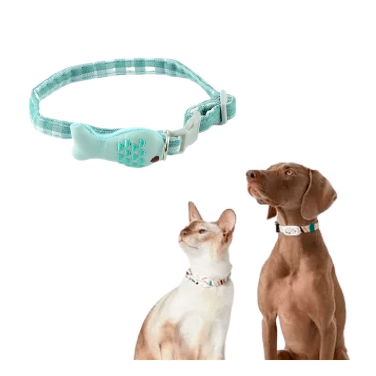 CINTA AJUSTABLE MODELO PEZ VERDE PARA MASCOTA - 2