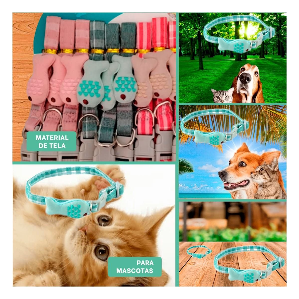 CINTA AJUSTABLE MODELO PEZ VERDE PARA MASCOTA - 5