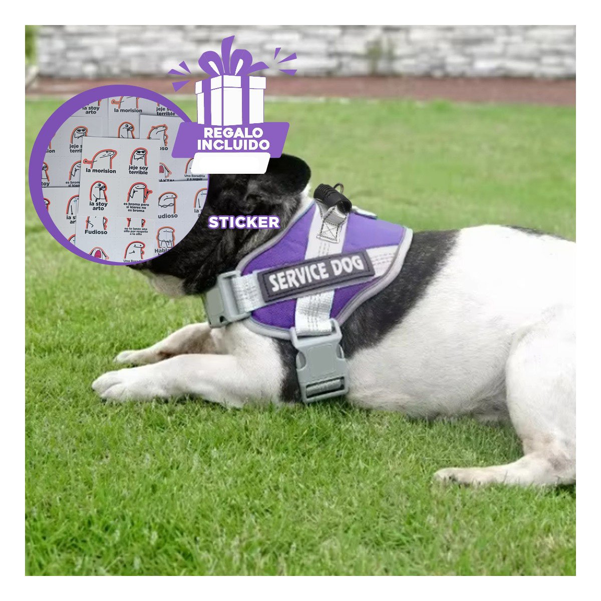 PETO PROFESIONAL SERVICE DOG TALLA XS MORADO CON ASA Y+REGALO STICKER - 1