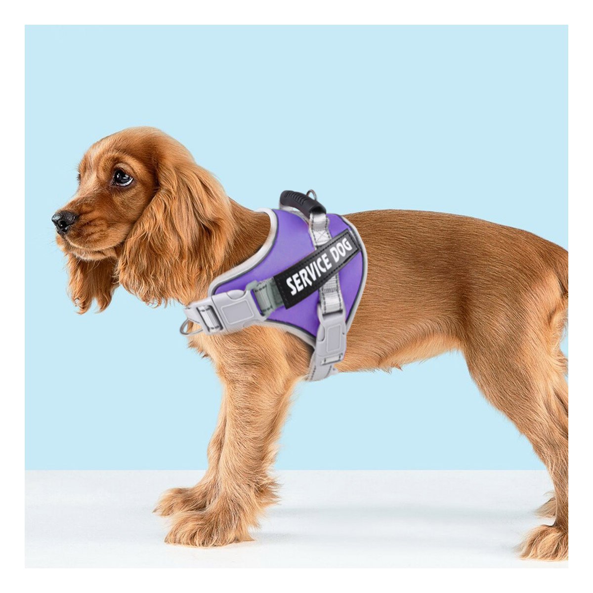 PETO PROFESIONAL SERVICE DOG TALLA XS MORADO CON ASA Y+REGALO STICKER - 5