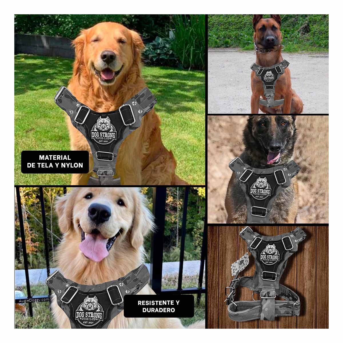 EQUIPO CANINO DOG STRONG NEGRO TALLA M CON AJUSTE PRACTICO Y+POST IT - 5