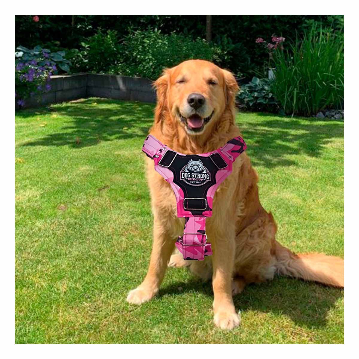 PECHERA RESISTENTE DOG STRONG ROSADO TALLA M PARA USO DIARIO Y+PAPEL REGALO - 5