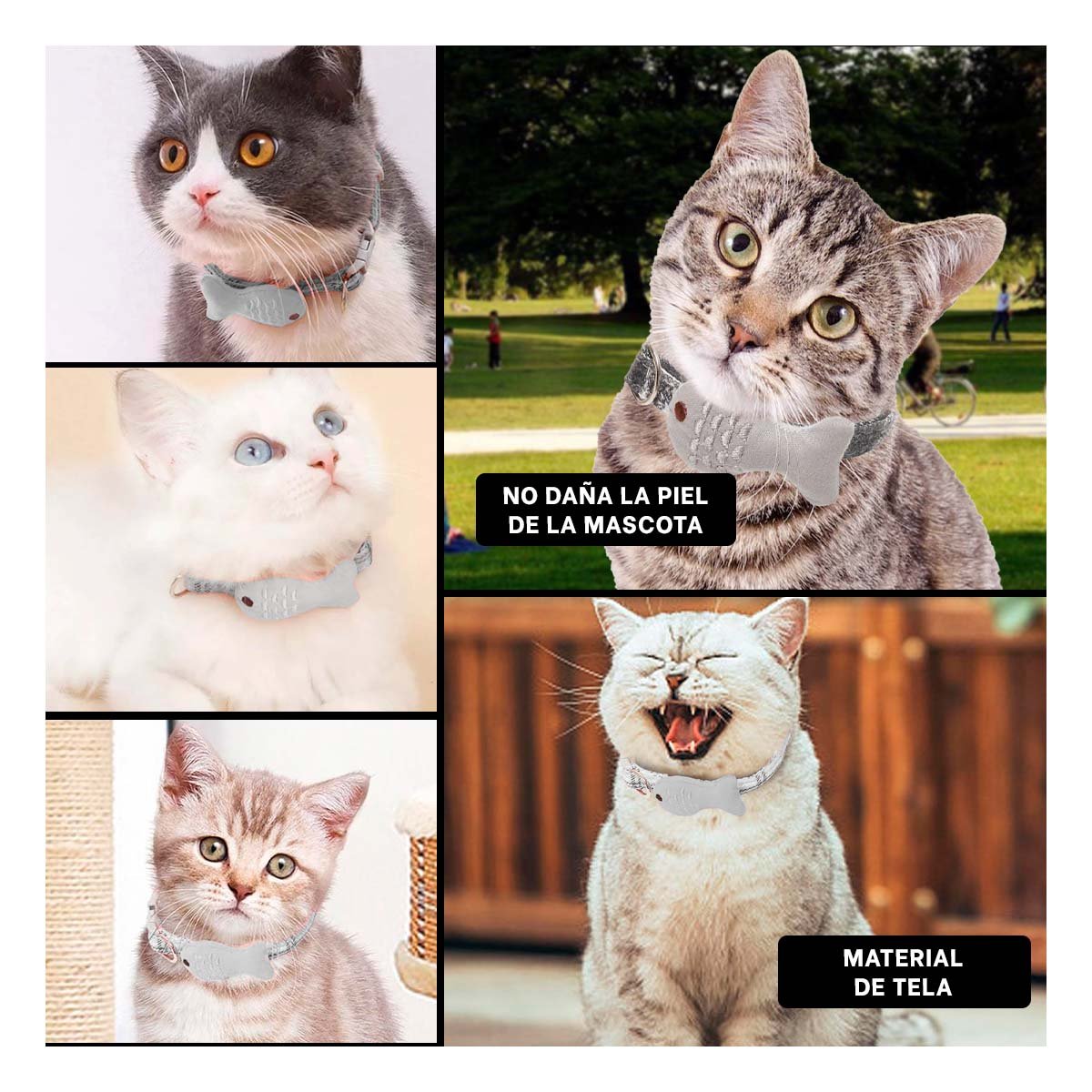 PACK12 CINTA RESISTENTE MODELO PEZ GRIS PARA MASCOTA Y+PAPEL REGALO - 2