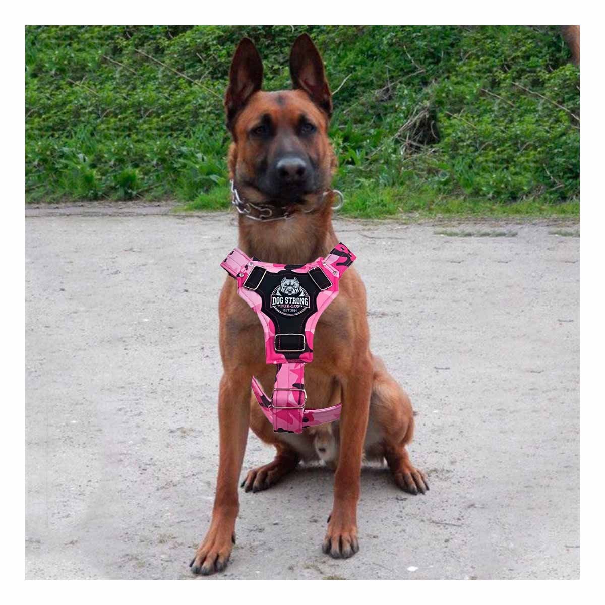 EQUIPO CANINO DOG STRONG ROSADO TALLA M CON AJUSTE PRACTICO Y+POST IT - 2