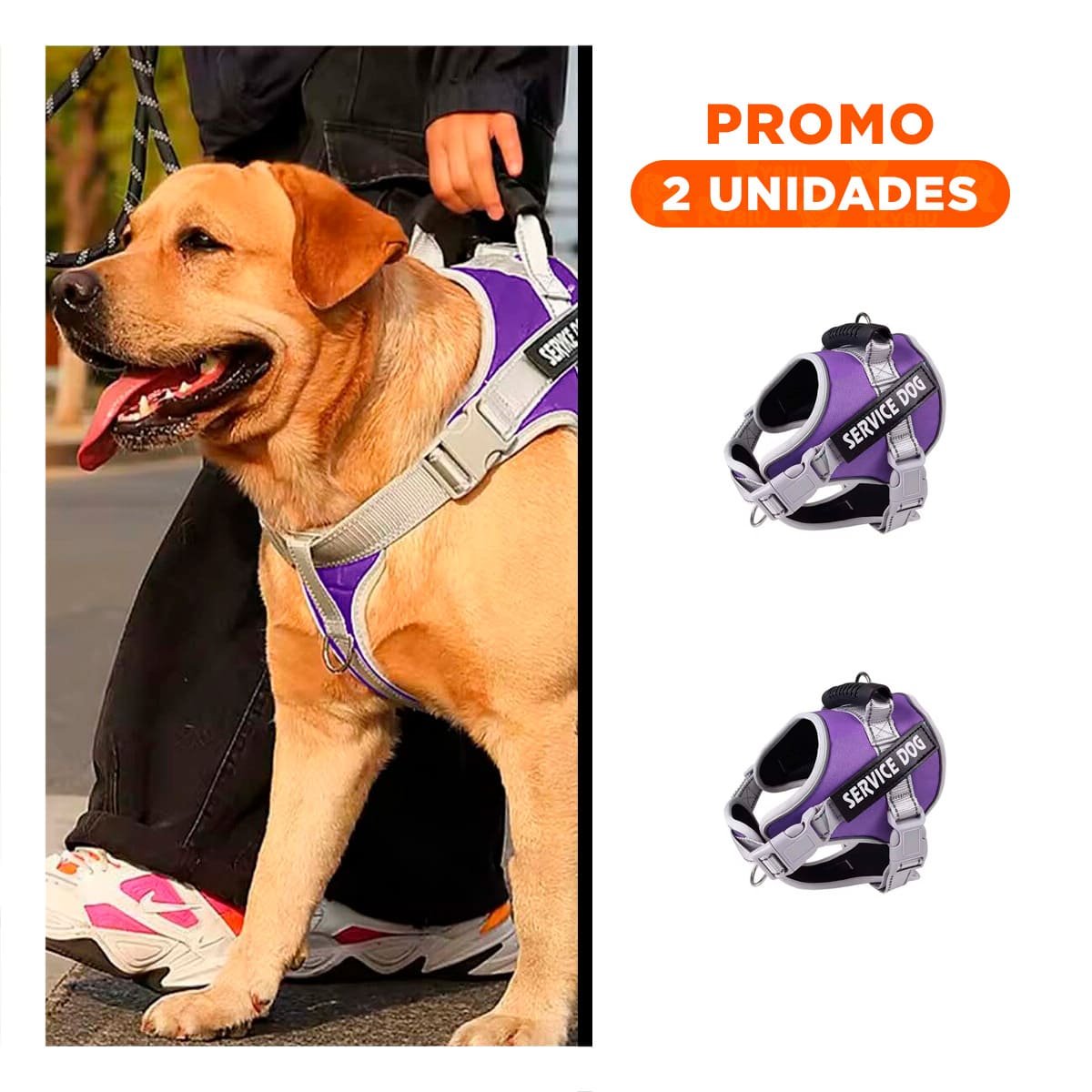 PACK2 CHALECO AJUSTABLE SERVICE DOG TALLA XL MORADO CON ASA - 1