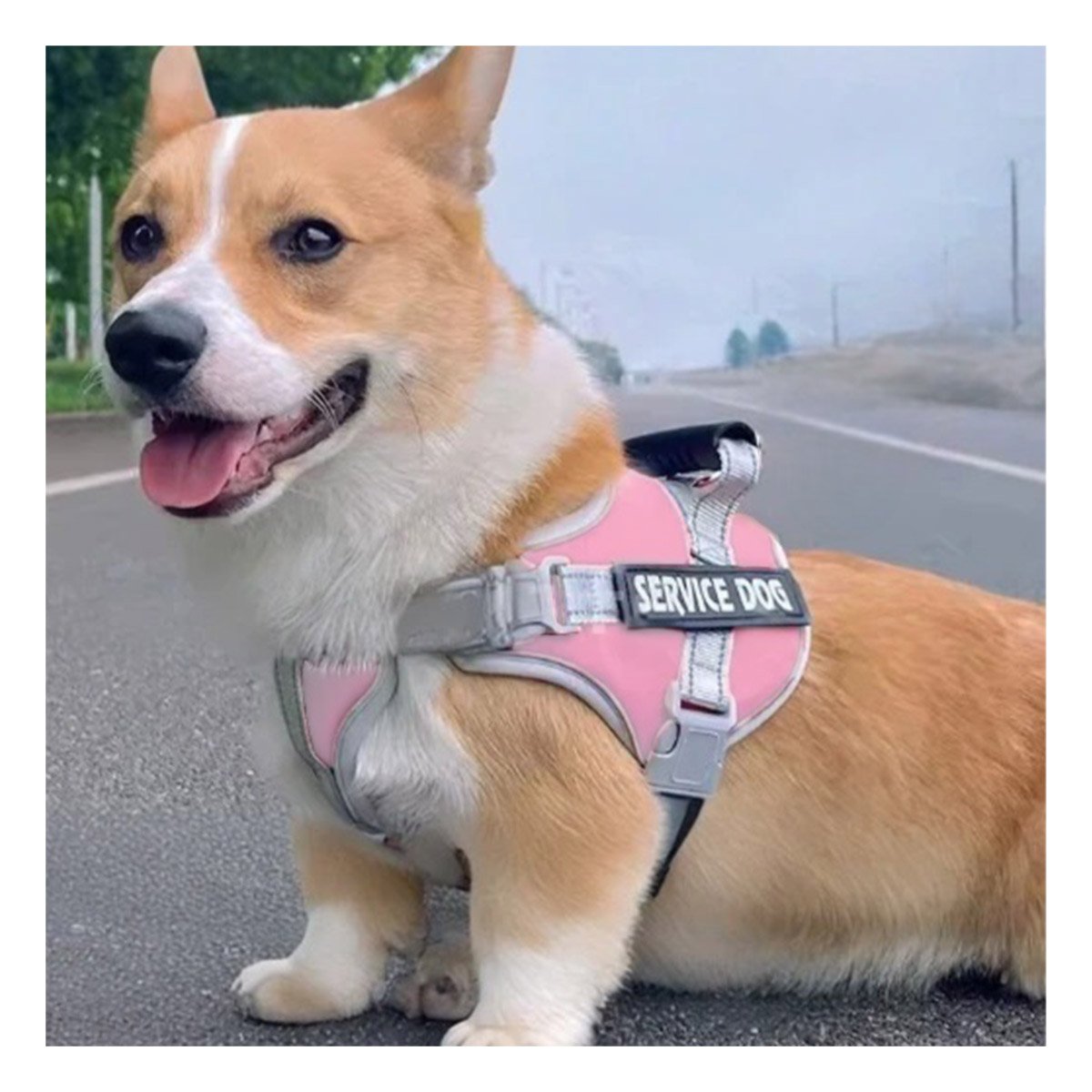 PACK4 CHALECO RESISTENTE SERVICE DOG TALLA XS ROSADO CLARO CON ASA Y+REGALO STICKER - 5