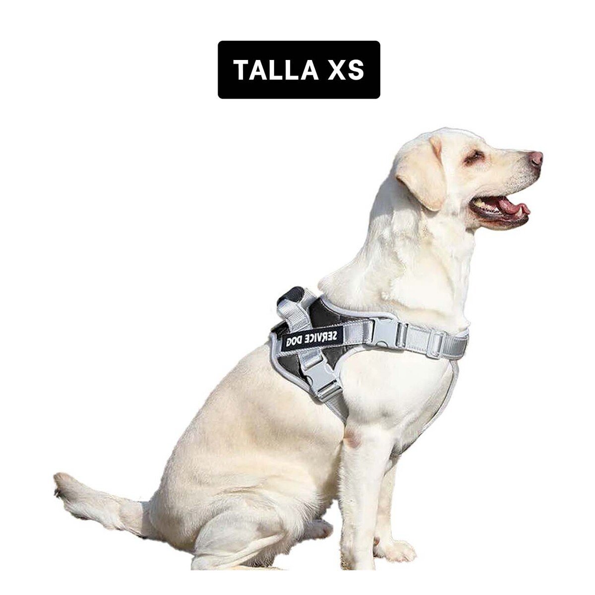PACK6 HARNESS RESISTENTE SERVICE DOG TALLA XS NEGRO CON ASA - 4