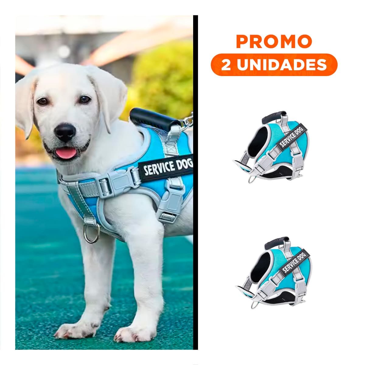 PACK2 CHALECO AJUSTABLE SERVICE DOG TALLA XS TURQUEZA CON ASA - 1