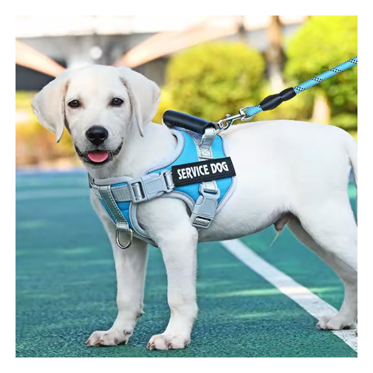 PACK2 CHALECO AJUSTABLE SERVICE DOG TALLA XS TURQUEZA CON ASA - 2