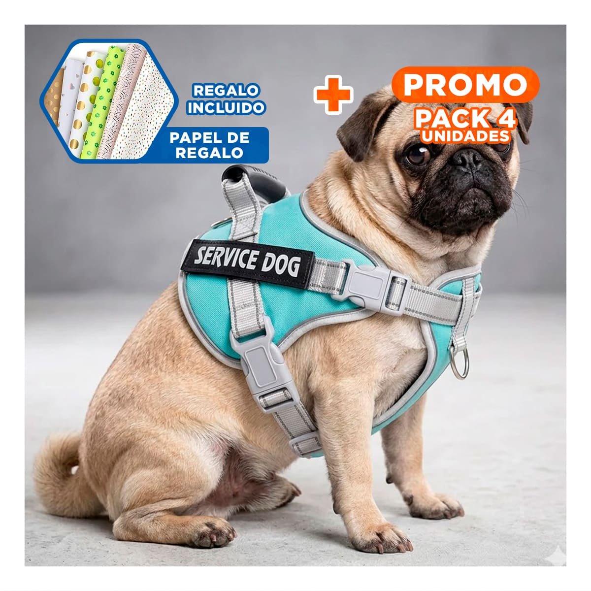 PACK4 ARNES RESISTENTE SERVICE DOG TALLA XS TURQUEZA CON ASA Y+PAPEL REGALO - 1