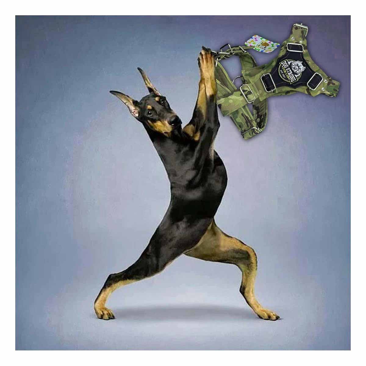 ARNES PARA PERRO DOG STRONG VERDE OSCURO TALLA L CON AJUSTE SEGURO Y+REGALO STICKER - 2