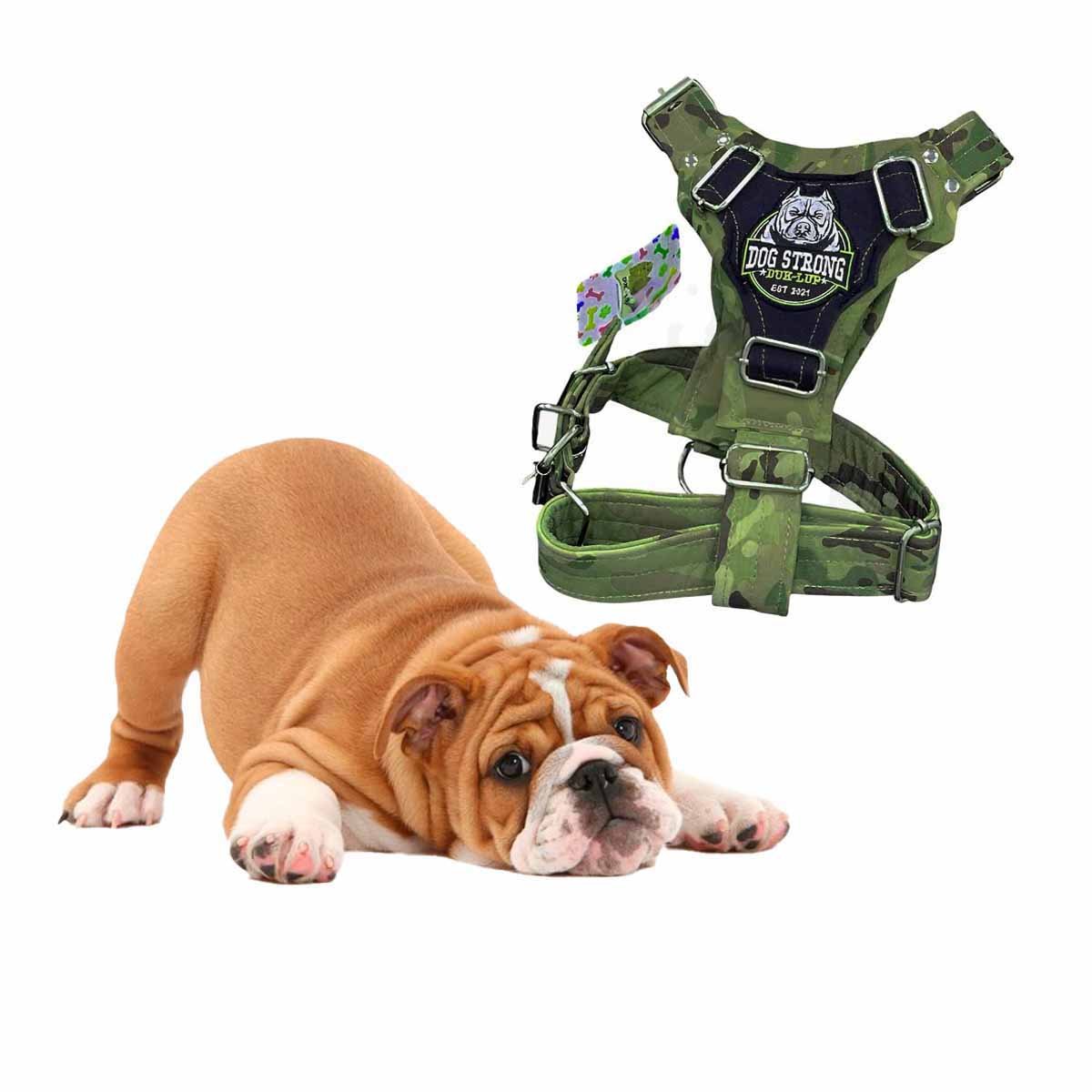 ARNES PARA PERRO DOG STRONG VERDE OSCURO TALLA L CON AJUSTE SEGURO Y+REGALO STICKER - 3