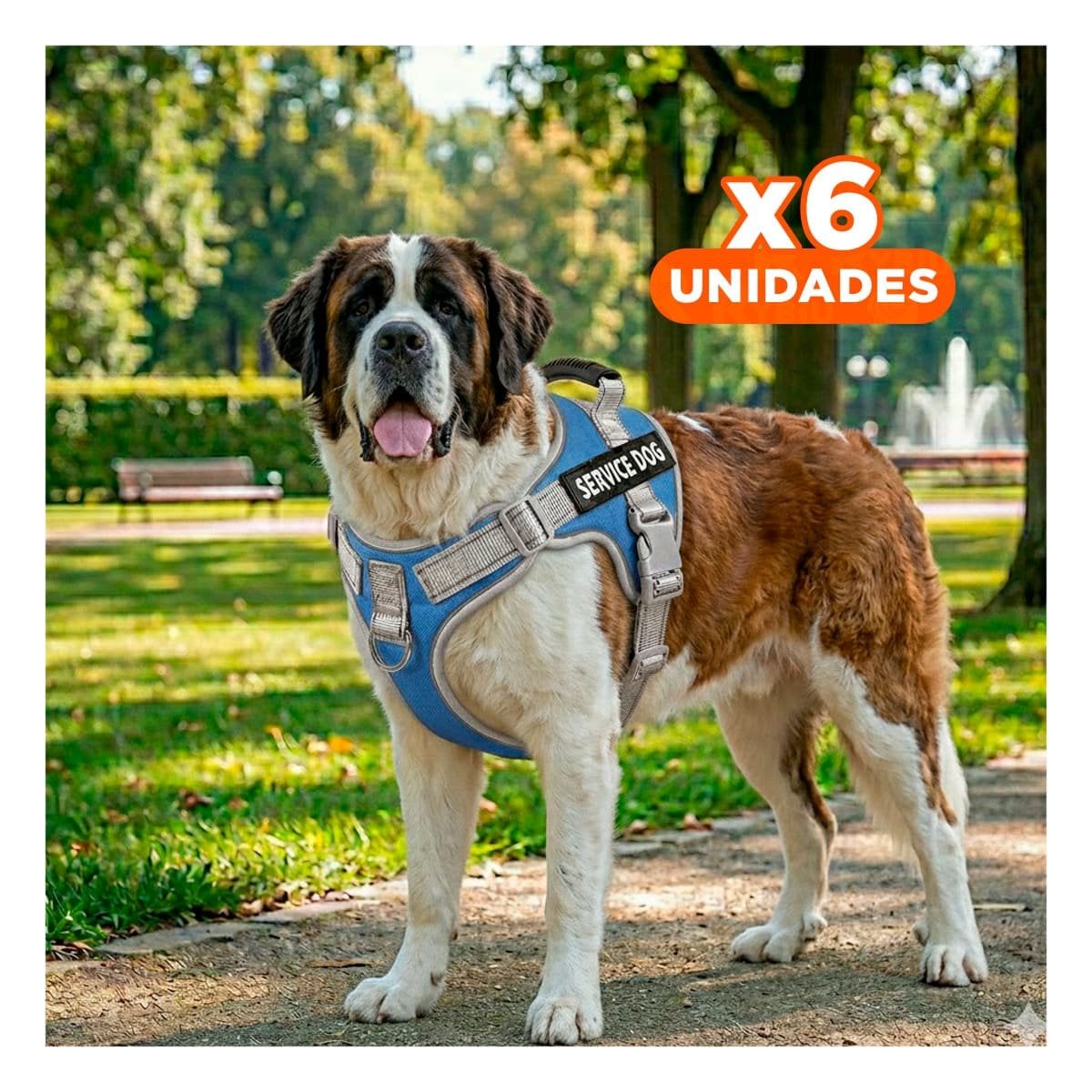 PACK6 PECHERA COMODA SERVICE DOG TALLA XS AZUL CON ASA Y+REGALO STICKER - 1