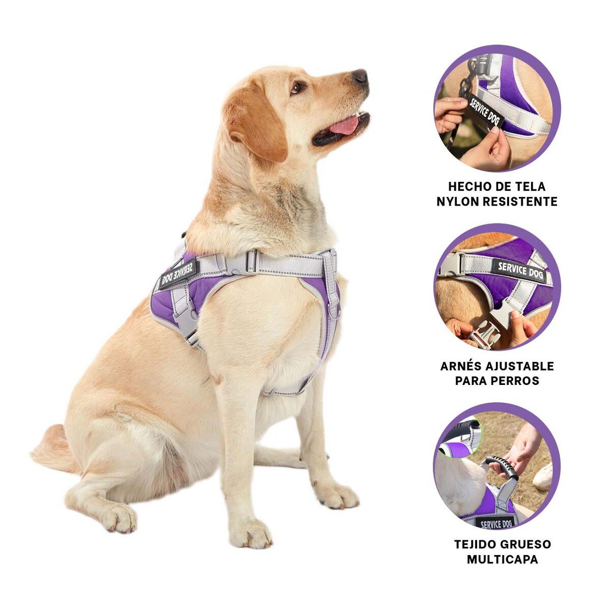CHALECO PROFESIONAL SERVICE DOG TALLA XL MORADO CON ASA - 3