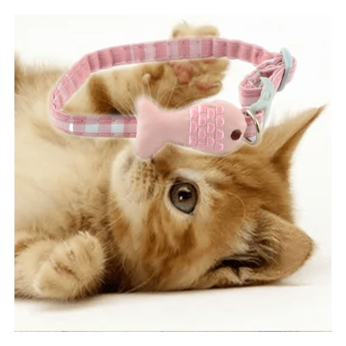 PACK2 CORREA LIGERA MODELO PEZ ROSADO PARA MASCOTA Y+PAPEL REGALO - 5