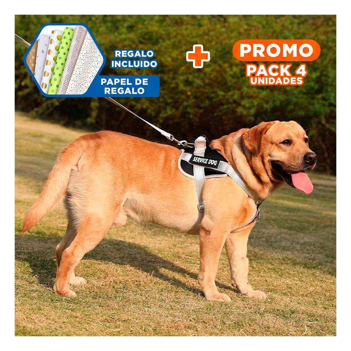 PACK4 ARNES RESISTENTE SERVICE DOG TALLA XS NEGRO CON ASA Y+PAPEL REGALO - 1