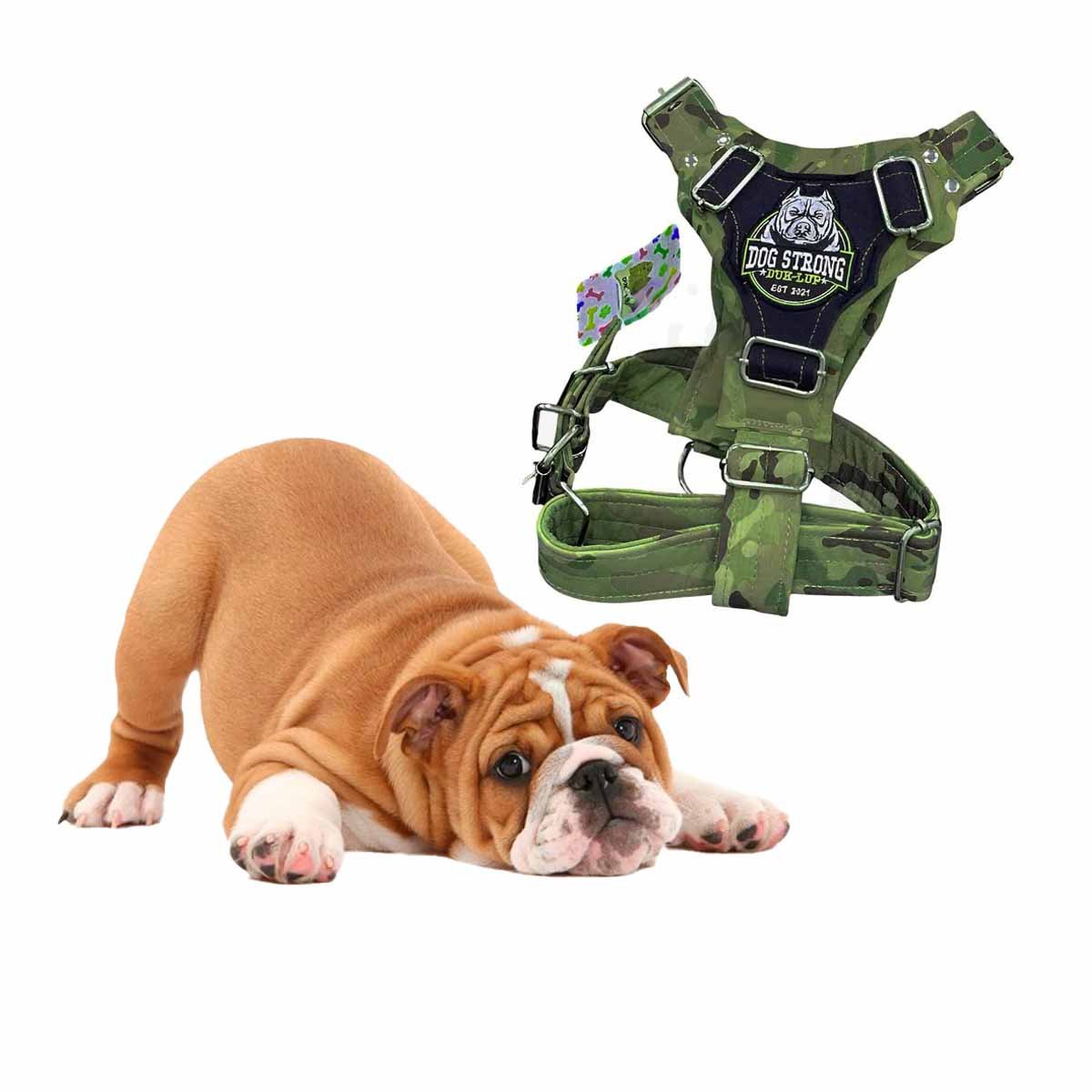 PACK4 PECHERA AJUSTABLE DOG STRONG VERDE OSCURO TALLA M COMODA Y FIRME Y+PAPEL REGALO - 3