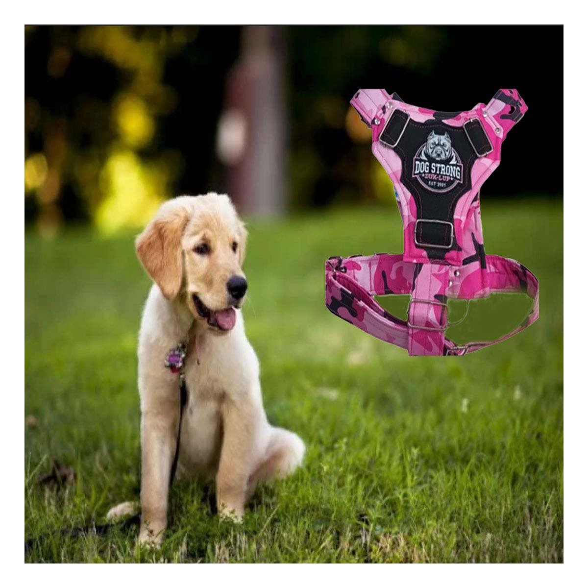 PACK2 PRENDA PARA PERRO DOG STRONG ROSADO TALLA L COMODA Y DURABLE Y+PAPEL REGALO - 5