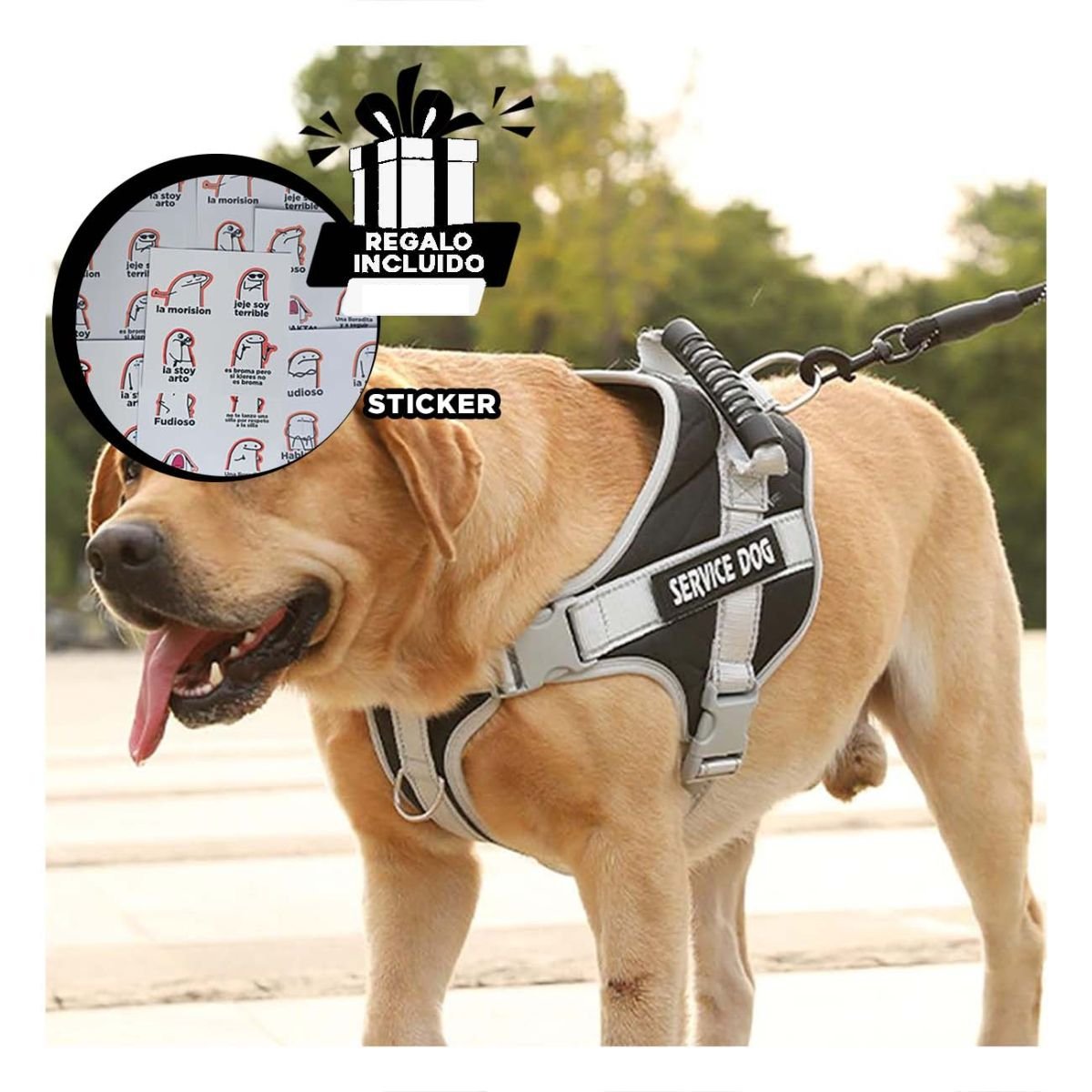 PETO PROFESIONAL SERVICE DOG TALLA XS NEGRO CON ASA Y+REGALO STICKER - 1