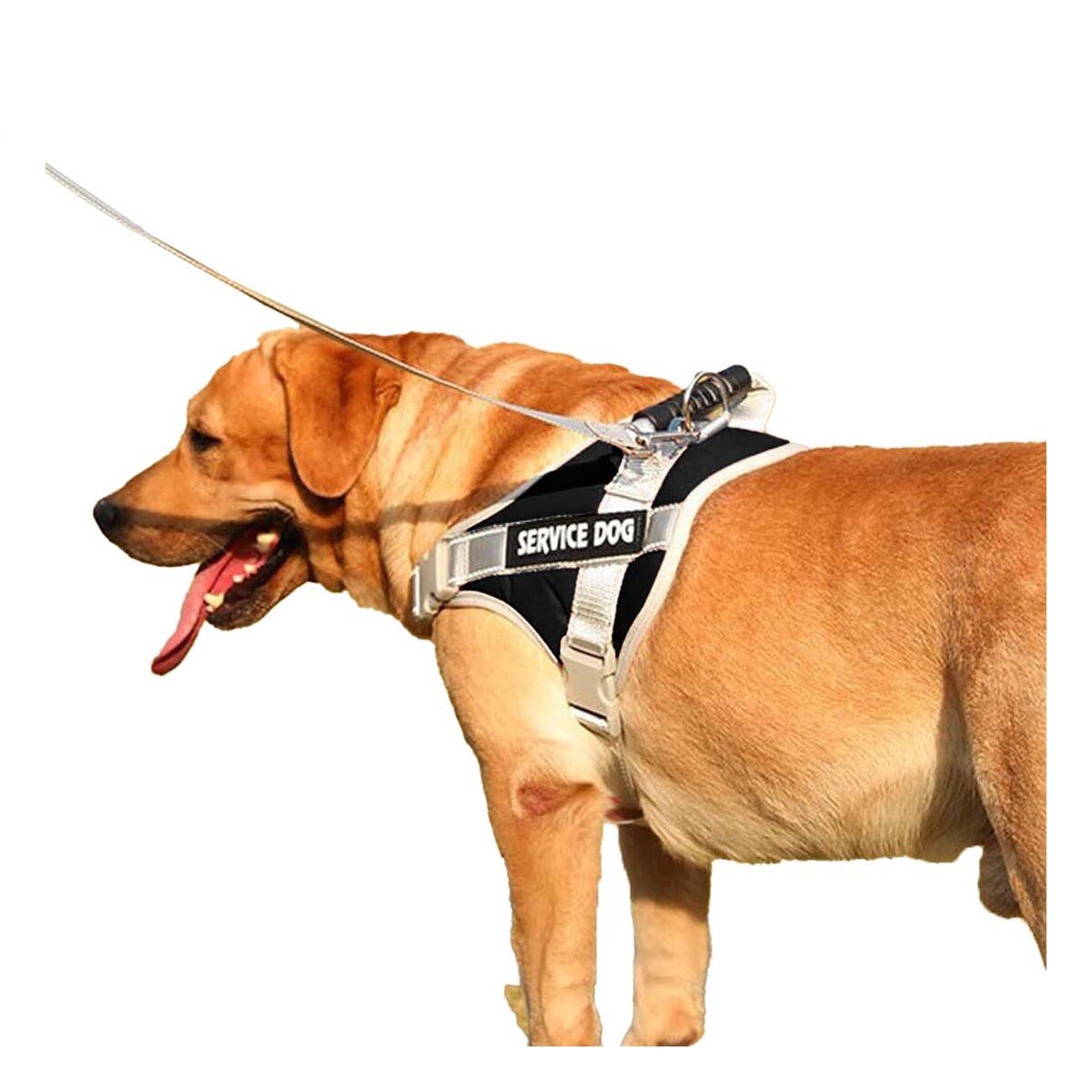 PETO PROFESIONAL SERVICE DOG TALLA XS NEGRO CON ASA Y+REGALO STICKER - 3