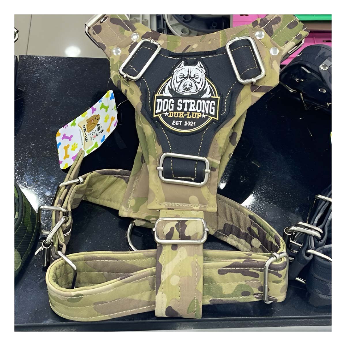 PACK2 EQUIPO CANINO DOG STRONG VERDE CLARO TALLA L CON AJUSTE PRACTICO Y+REGALO STICKER - 3