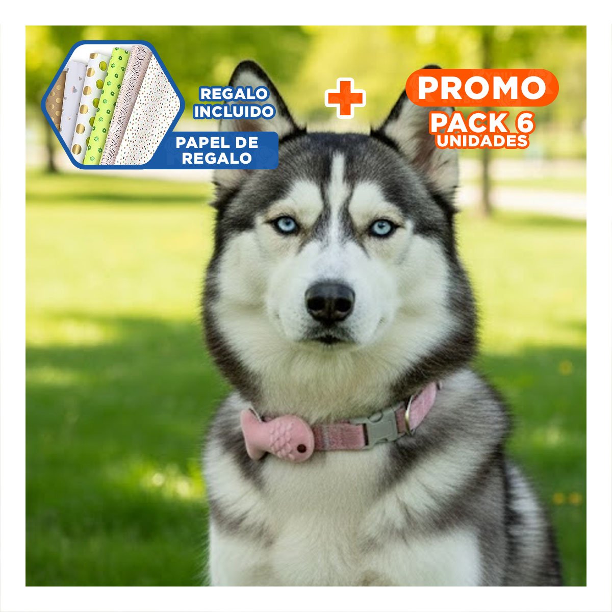 PACK6 COLLARIN COMODO MODELO PEZ ROSADO PARA MASCOTA Y+PAPEL REGALO - 1