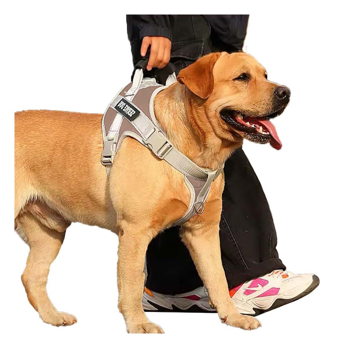 PACK2 PETO AJUSTABLE SERVICE DOG TALLA XS MARRON CON ASA Y+REGALO STICKER - 2