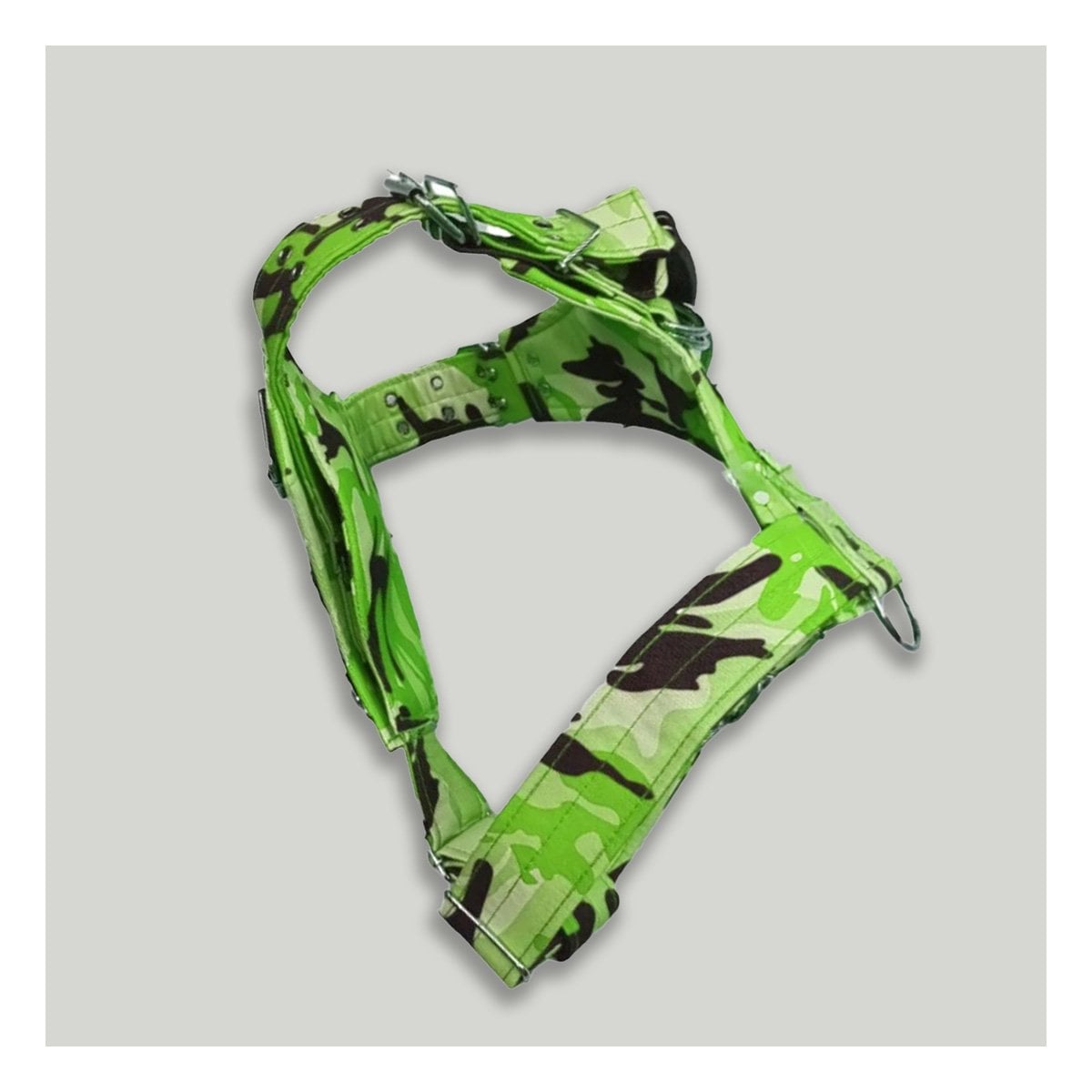 PECHERA RESISTENTE DOG STRONG VERDE CLARO TALLA S PARA PERRO Y+PAPEL REGALO - 3