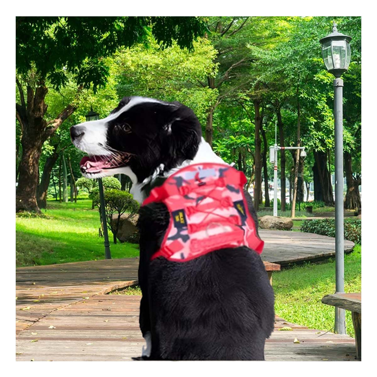 PACK6 CHALECO COMODO PARA PERRO ROJO TALLA S SEGURO Y+PAPEL REGALO - 2