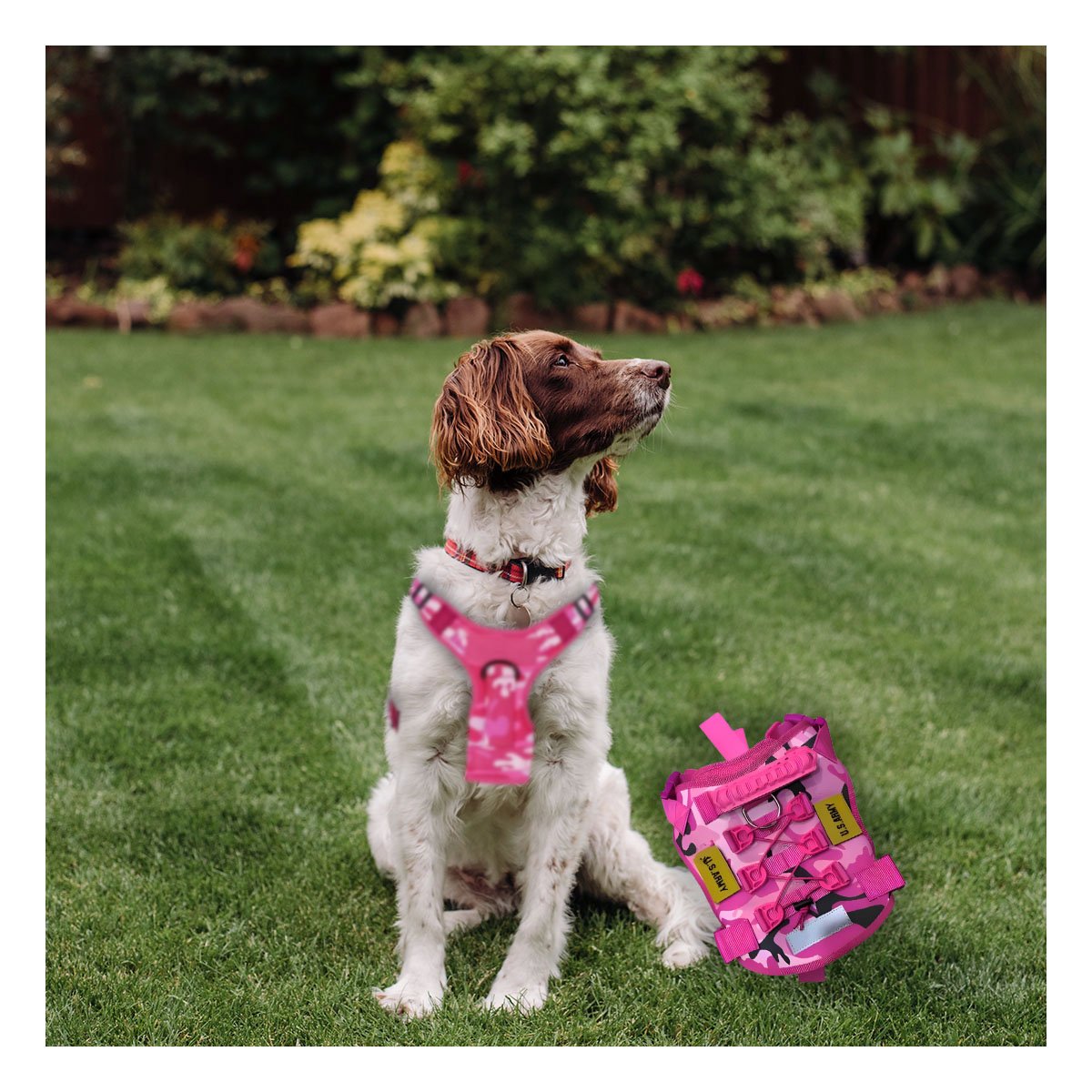PACK6 ARNES TACTICO CANINO ROSADO TALLA M CHALECOS DE PASEO - 3