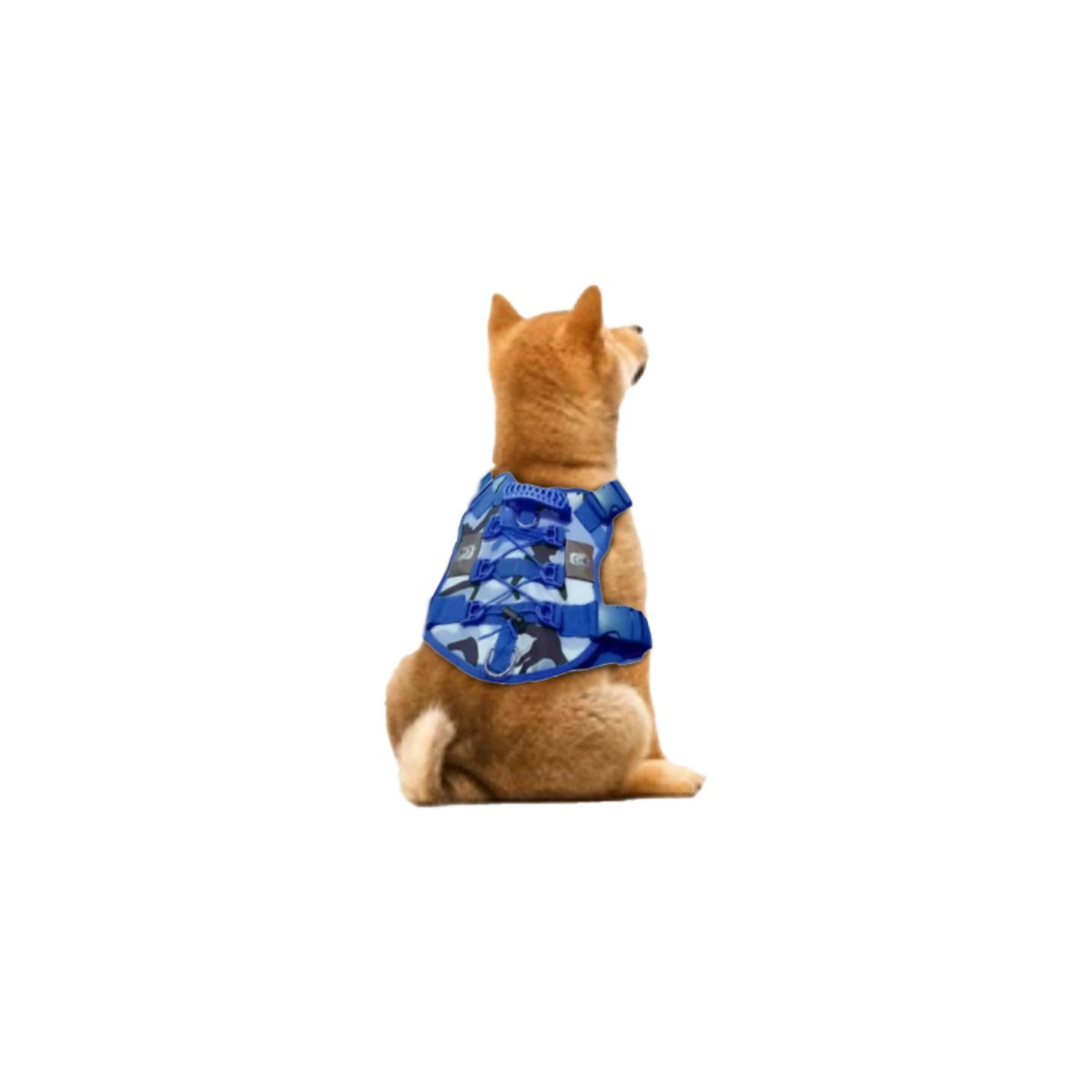 PACK6 ARNES COMODO PARA PERRO AZUL TALLA M ESTILO TACTICO Y+REGALO STICKER - 2