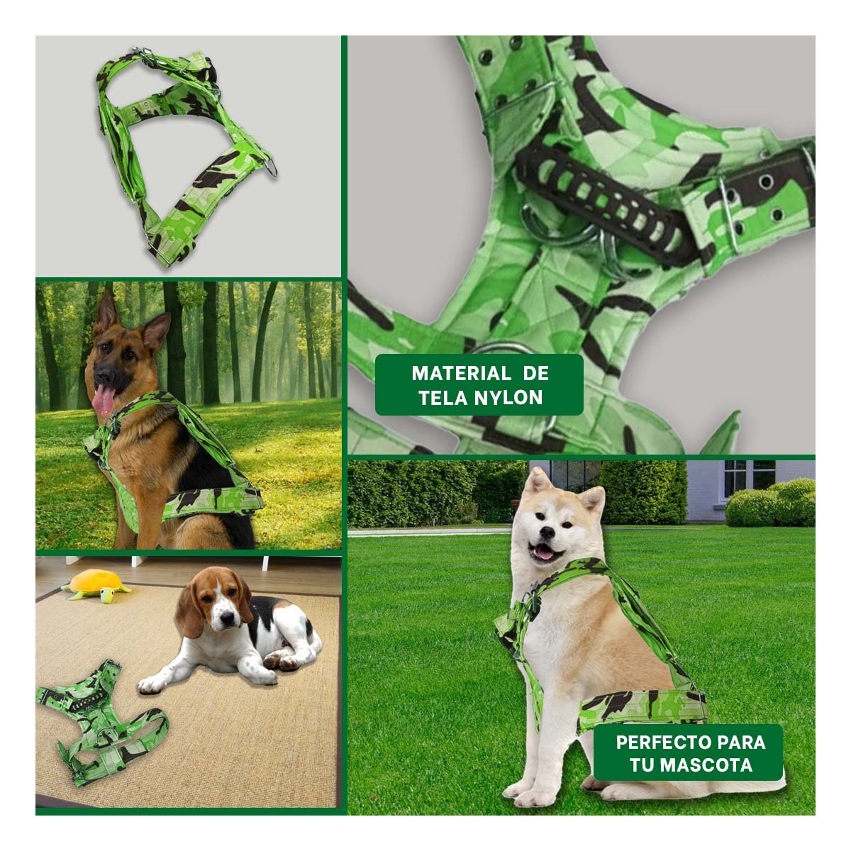 PACK4 EQUIPO AJUSTABLE DOG STRONG VERDE CLARO TALLA S FIRME Y+REGALO STICKER - 2