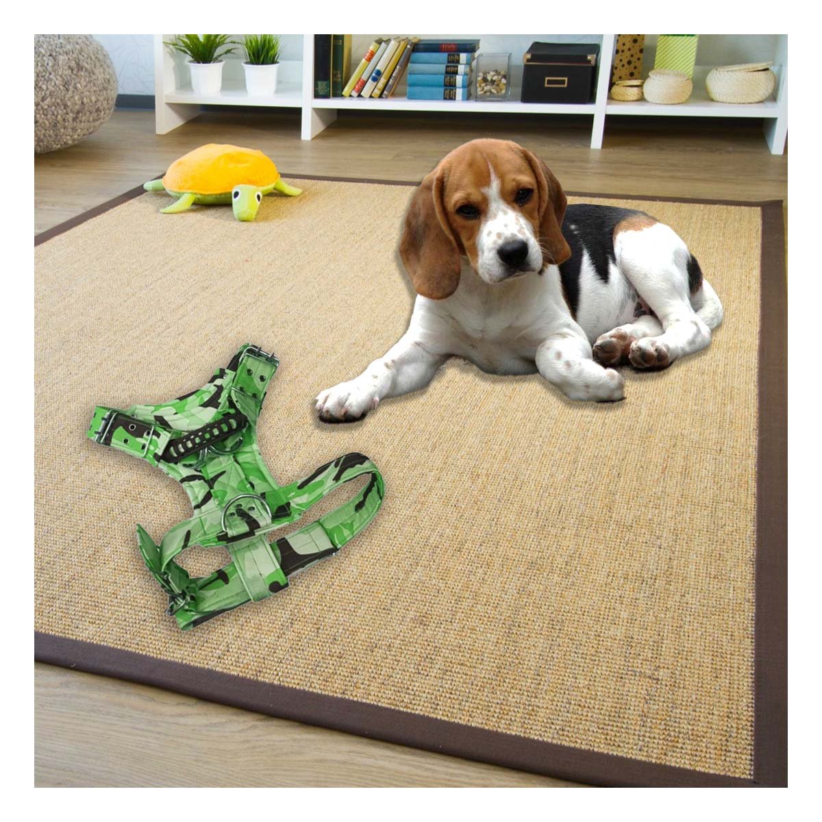 PACK4 EQUIPO AJUSTABLE DOG STRONG VERDE CLARO TALLA S FIRME Y+REGALO STICKER - 5